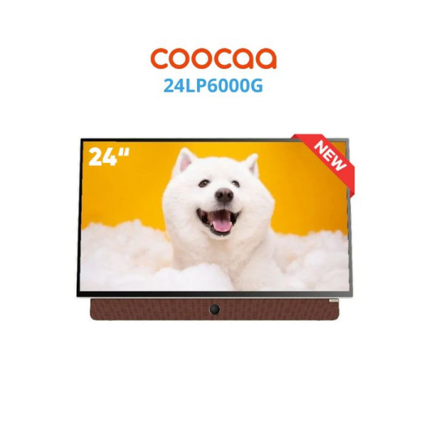 Google TV coocaa LP6000G 24
