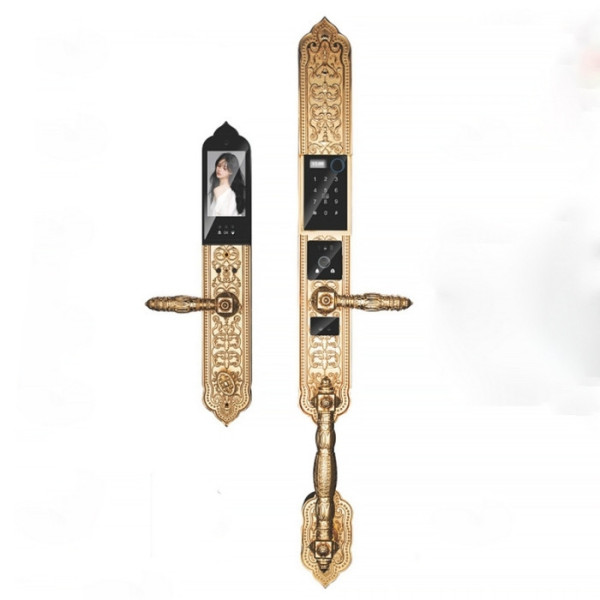 Khóa cửa vân tay đại sảnh Kassler KL-989F