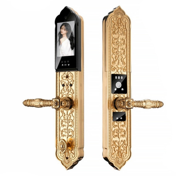 Khóa cửa vân tay đại sảnh Kassler KL- 989FS