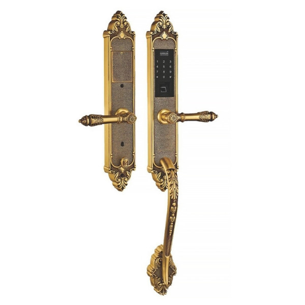 Khóa cửa vân tay đại sảnh Kassler KL-969C