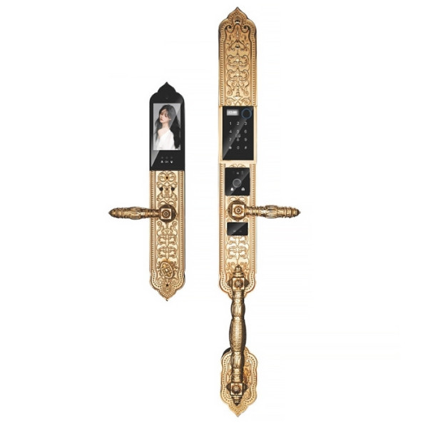 Khóa cửa đại sảnh vân tay Kassler KL-939F Pro