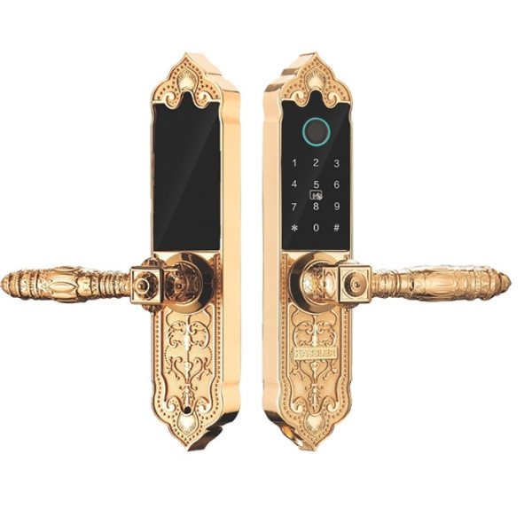 Khóa cửa vân tay Kassler KL-919
