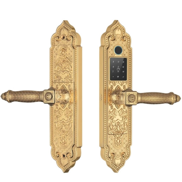 Khóa cửa vân tay Kassler KL-919 pro