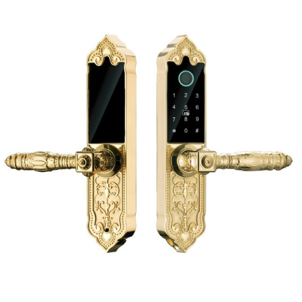 Khóa cửa Đại Sảnh Hubert HB DS79 Mini