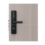 Khóa cửa vân tay Philips DDL603E-5HWS