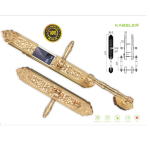 Khóa cửa vân tay đại sảnh Kassler KL-999 mạ vàng