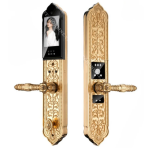 Khóa cửa vân tay đại sảnh Kassler KL- 989FS