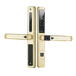 Khóa cửa vân tay Kassler KL-599 Slide