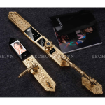 Khóa Đại Sảnh Hubert HB DS79F Gold